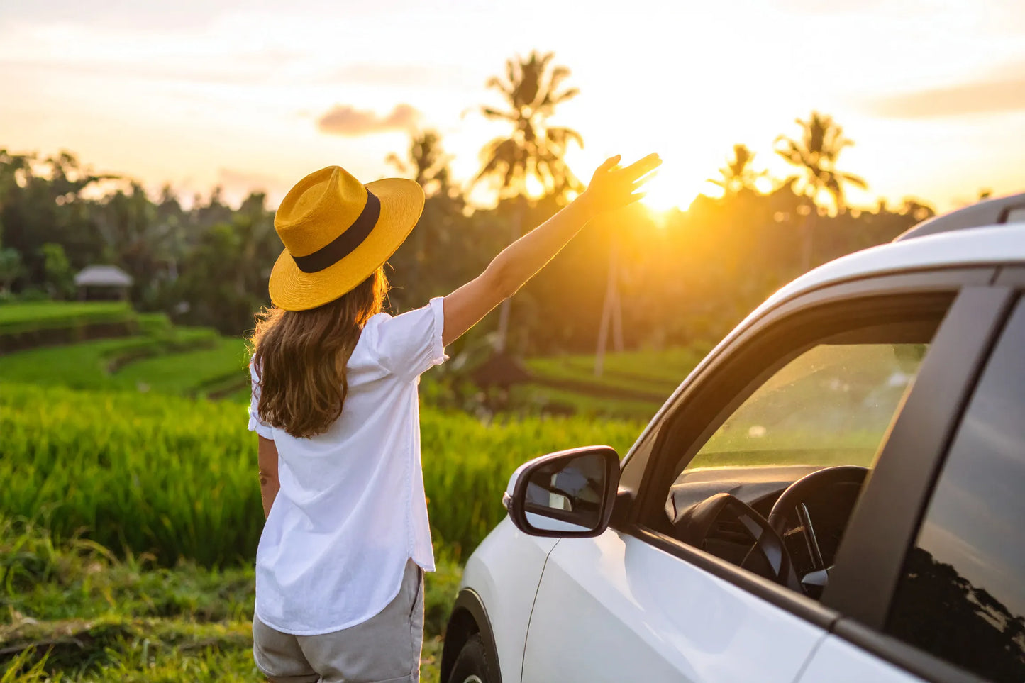 日本語ガイド付き専用車チャーター