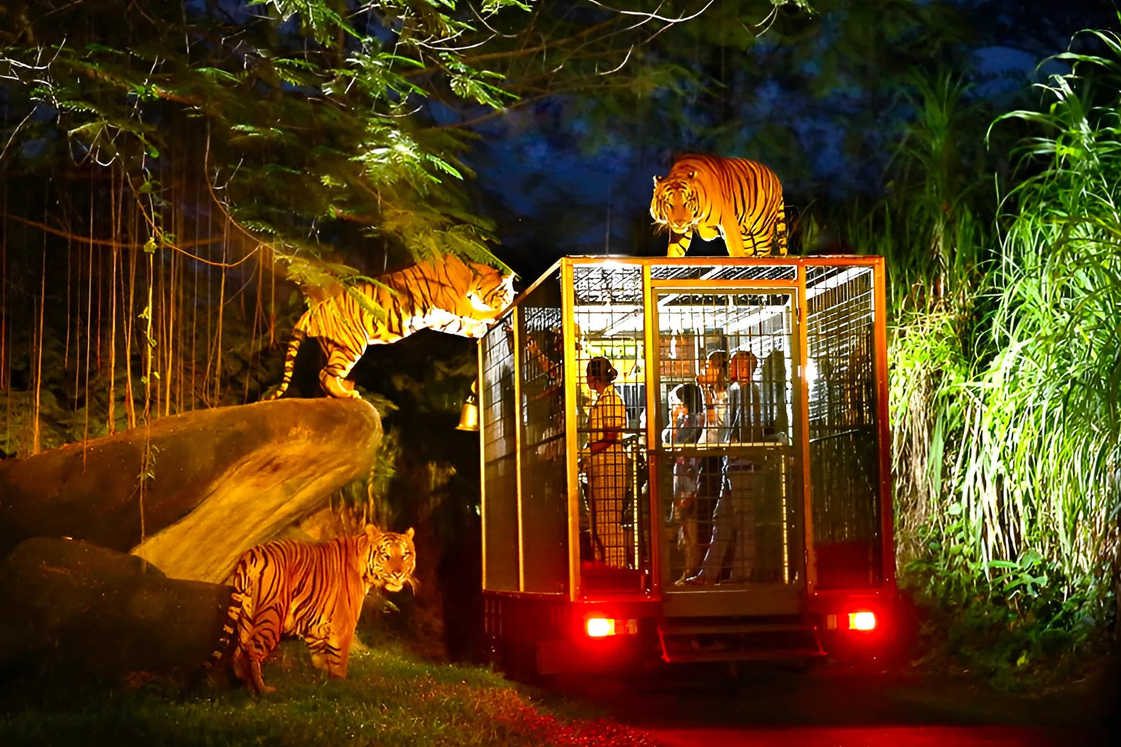 臨場感がたまらない！バリサファリ＆マリンパーク